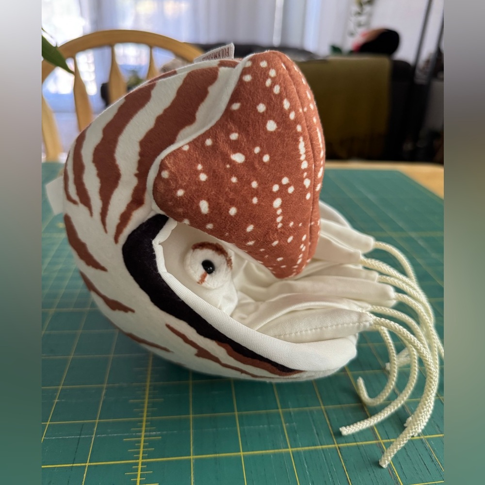 Plush Nautilus Toy